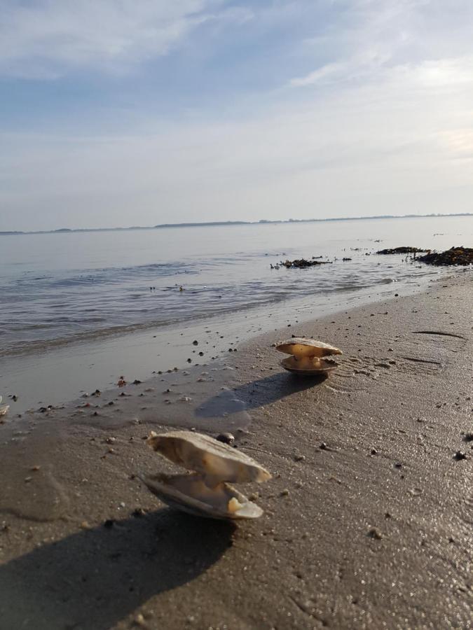 Strandappartement Steinberghaff "Farborg" Mit Meerblick Steinberg  Zewnętrze zdjęcie